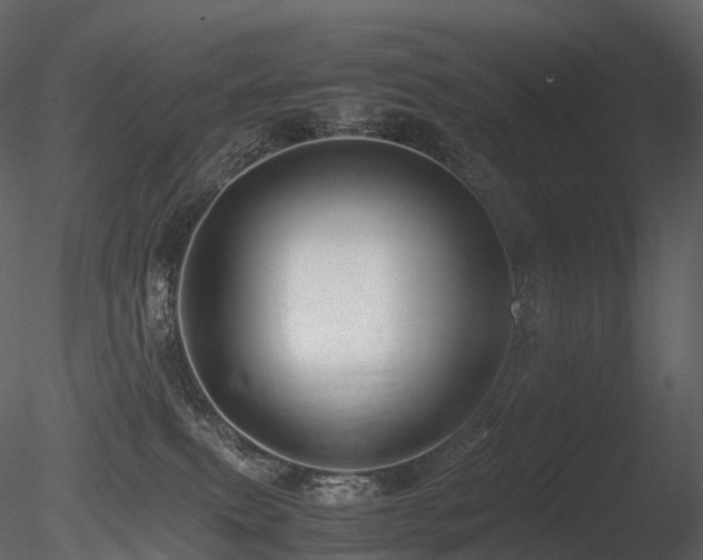 X0000085830087200703161335