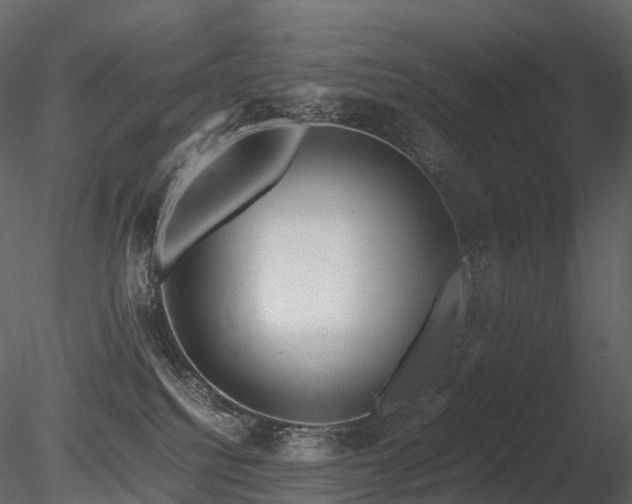 X0000085830088200703161335