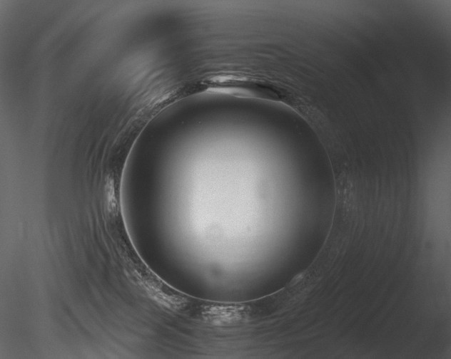 X0000085830089200703161335