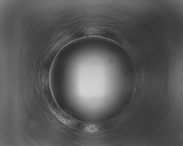 X0000085830091200703161335