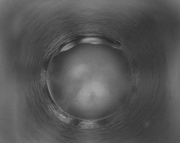 X0000085830093200703161335