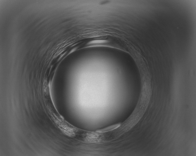 X0000085830096200703161335
