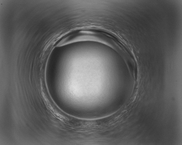 X0000085830097200703161335