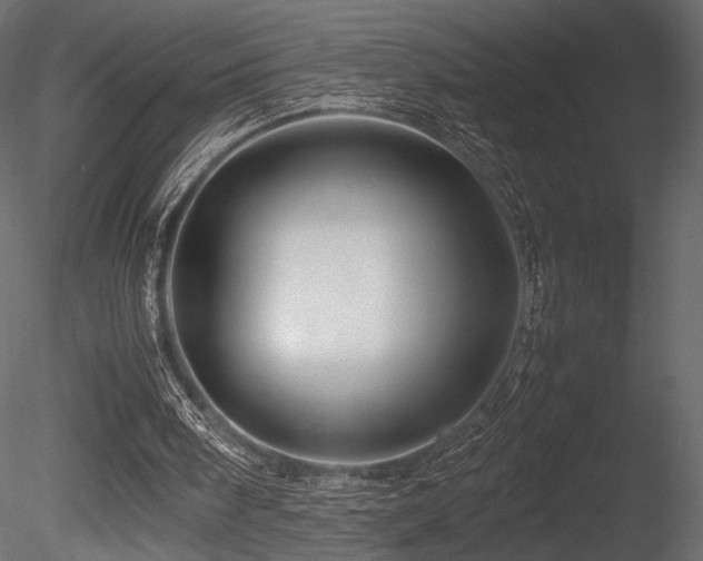 X0000085830098200703161334