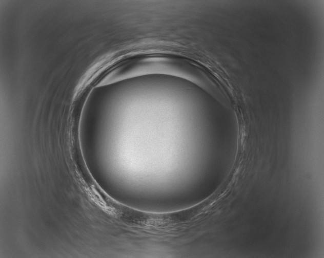 X0000085830101200703161334