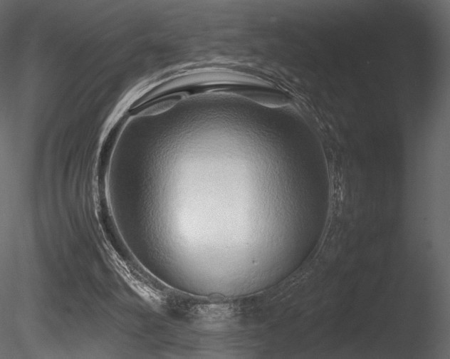 X0000085830102200703161334