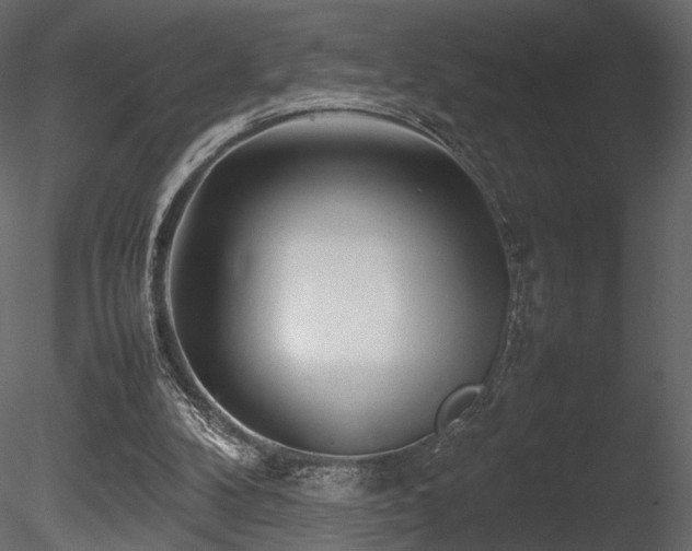 X0000085830104200703161334
