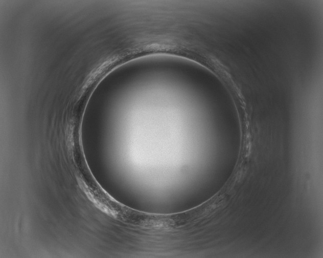 X0000085830106200703161334