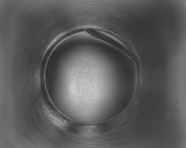 X0000085830108200703161334