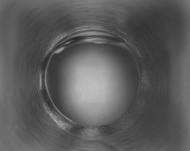 X0000085830110200703161334