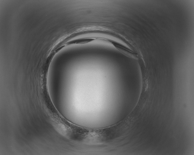 X0000085830111200703161334
