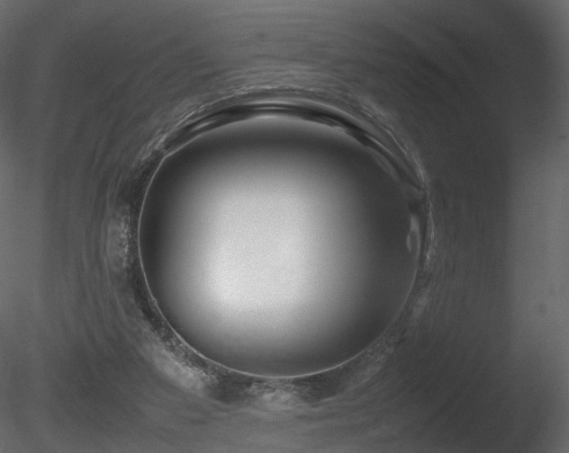 X0000085830113200703161334