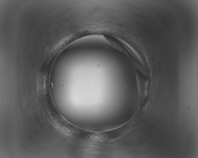 X0000085830115200703161334
