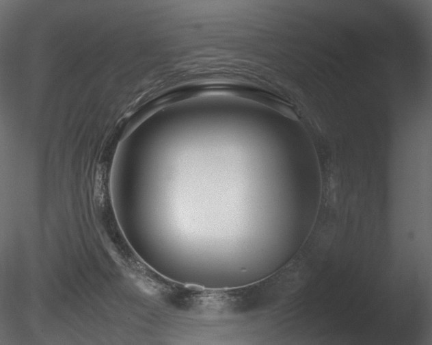 X0000085830121200703161334