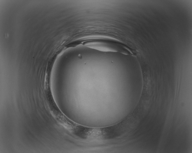 X0000085830123200703161334