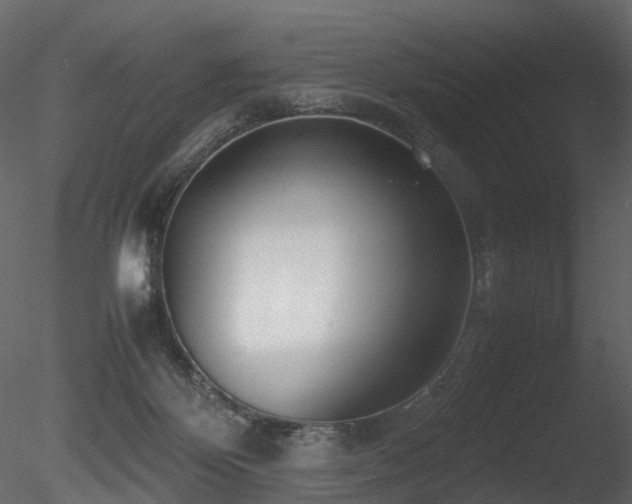 X0000085830124200703161334