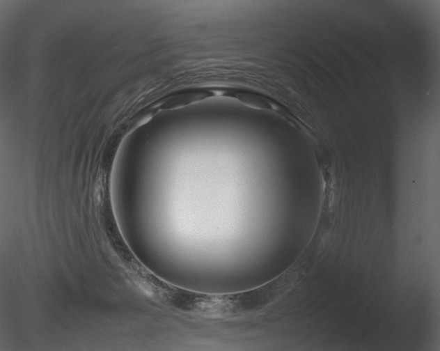 X0000085830125200703161334