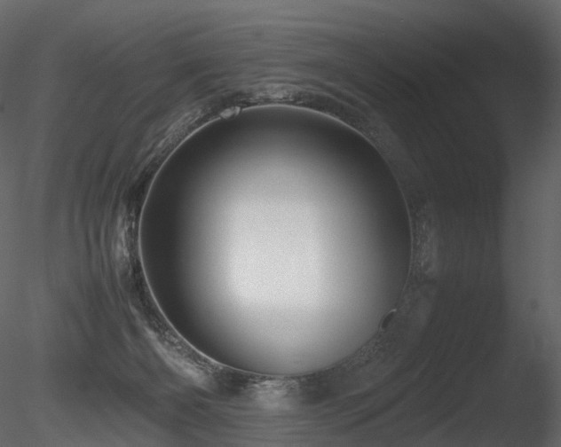 X0000085830126200703161334