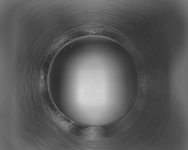 X0000085830128200703161334