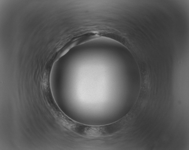 X0000085830129200703161334