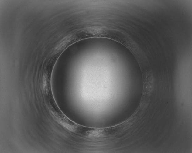 X0000085830132200703161334