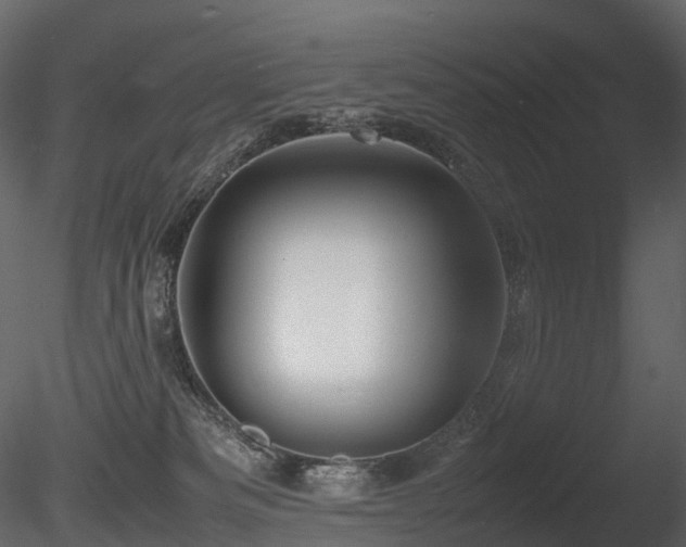 X0000085830133200703161334