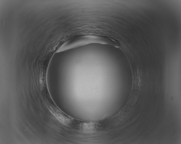 X0000085830134200703161334