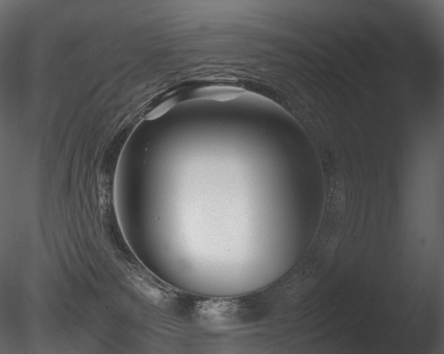 X0000085830135200703161334