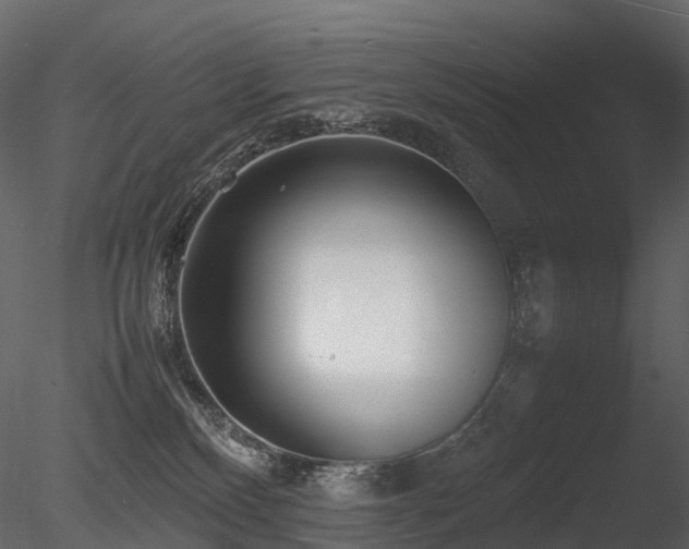 X0000085830136200703161334