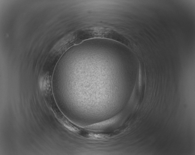 X0000085830137200703161334