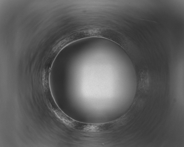 X0000085830140200703161334