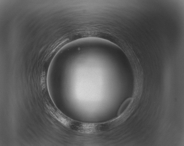 X0000085830144200703161334