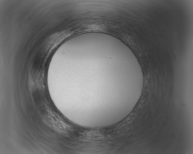 X0000085830146200703161333