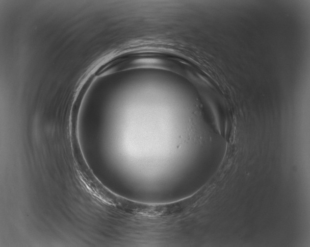 X0000085830148200703161333