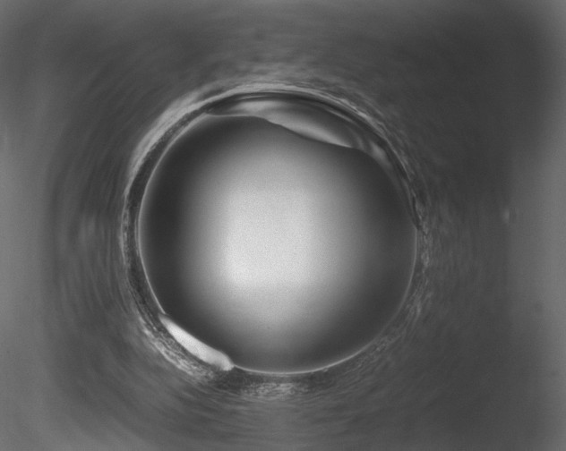 X0000085830152200703161333