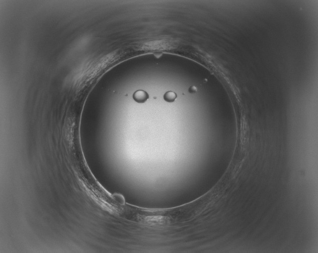 X0000085830153200703161333