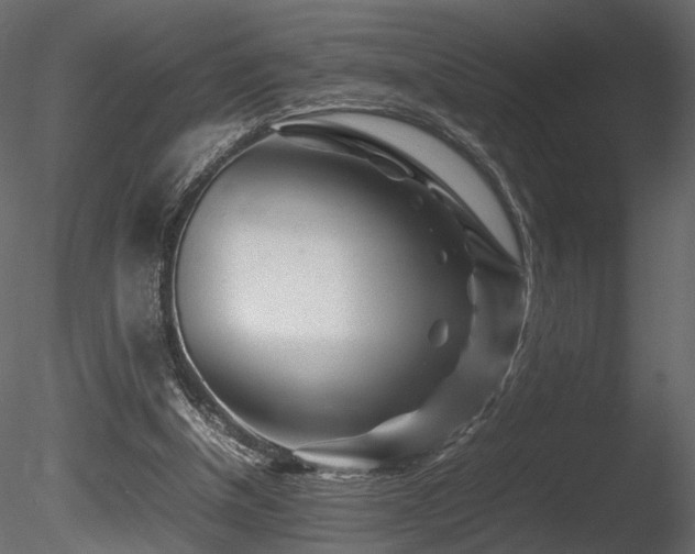 X0000085830154200703161333