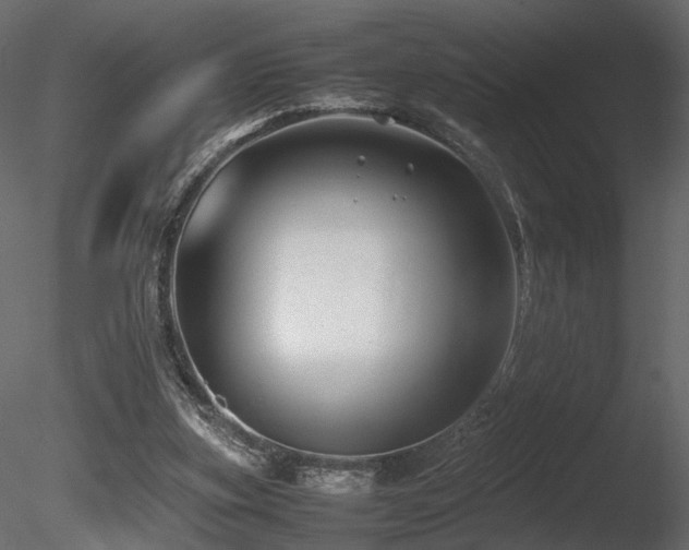 X0000085830155200703161333