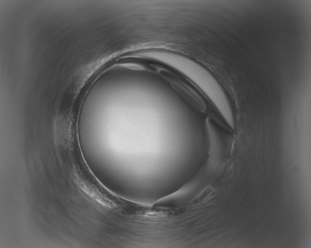 X0000085830156200703161333