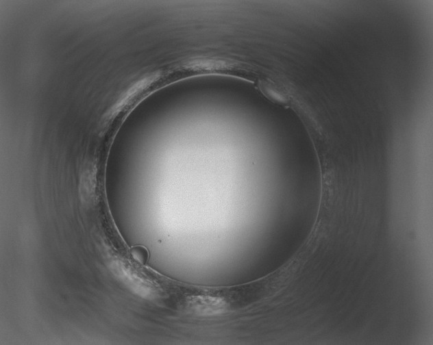 X0000085830159200703161333