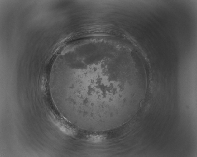 X0000085830161200703161333