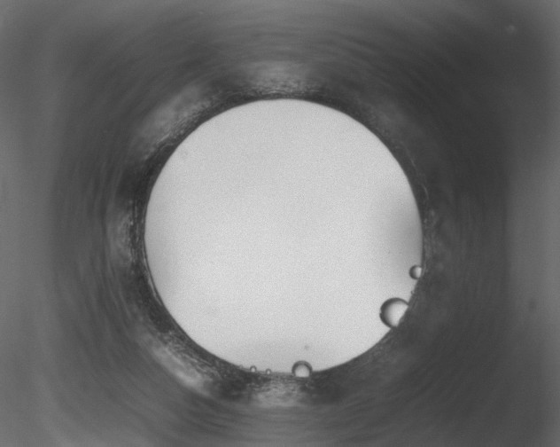 X0000085830162200703161333