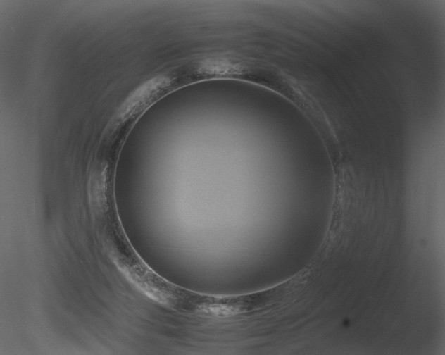 X0000085830163200703161333