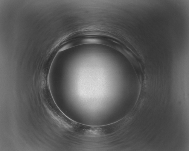 X0000085830164200703161333