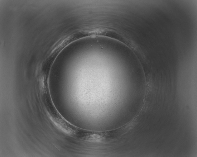 X0000085830166200703161333