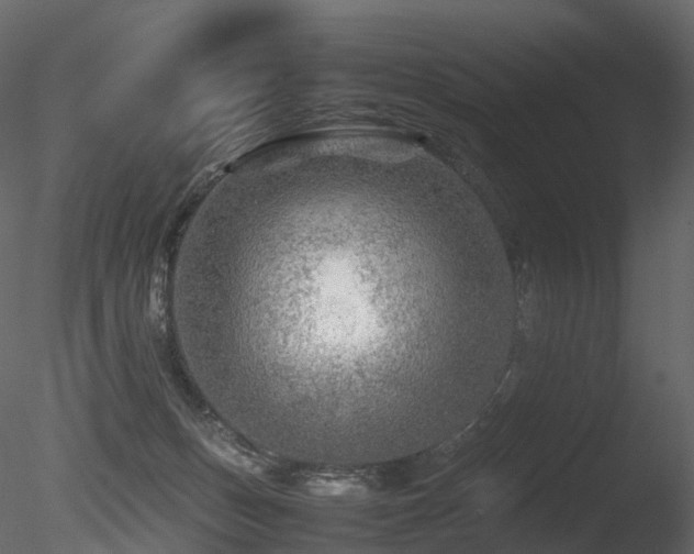 X0000085830175200703161333