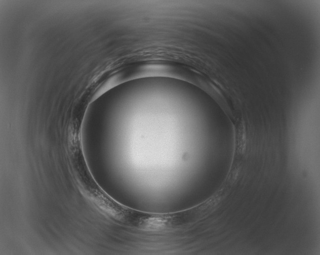 X0000085830176200703161333