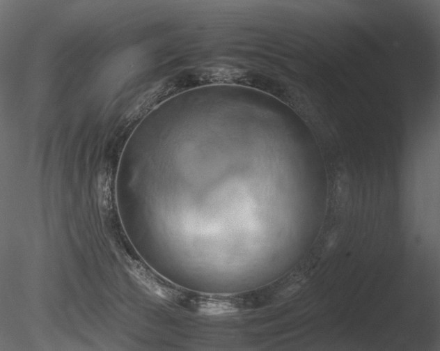 X0000085830177200703161333