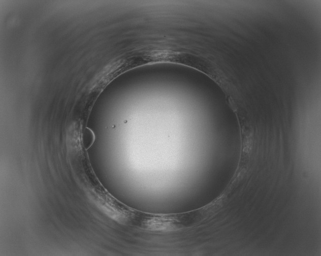 X0000085830179200703161333