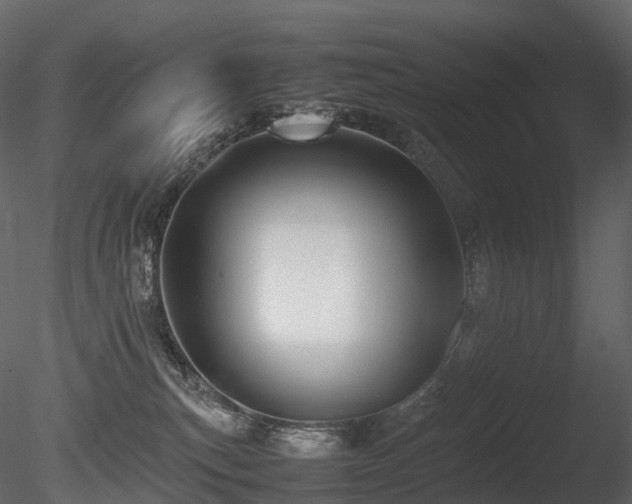 X0000085830183200703161334